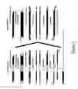 Fig. 03 - Genome walking method for cloning of unknown DNA sequences adjacent to known sequences