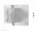Fig. 07 - EXTRACTION OF EXTRACELLULAR TERPENOIDS FROM MICROALGAE COLONIES