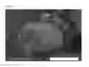 Fig. 02 - POWDERY LIPASE PREPARATION AND USE THEREOF