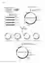Fig. 02 - PREPARATION METHOD OF LACTATE POLYMERS AND LACTATE COPOLYMERS USING POLYHYDROXYALKANOATE SYNTHASE MUTANTS