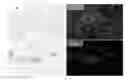 Fig. 01 - Materials for magnetizing cells and magnetic manipulation