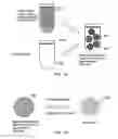 Fig. 02 - Signal amplification microspheres, their use in one-step and multi-step analytical amplification procedures and methods for their production