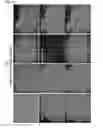 Fig. 22 - Medium composition comprising neuropeptide Y for the generation, maintenance, prolonged undifferentiated growth of pluripotent stem cells and method of culturing pluripotent stem cell using the same