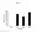 Fig. 02 - COMPOSITIONS AND METHODS FOR GROWING HUMAN EMBRYONIC CELLS