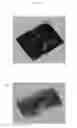 Fig. 14 - COLLAGEN-BASED MATRICES FOR VESSEL DENSITY AND SIZE REGULATION