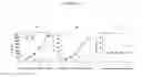 Fig. 17 - COLLAGEN-BASED MATRICES FOR VESSEL DENSITY AND SIZE REGULATION