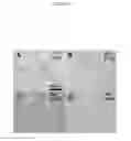 Fig. 22 - COLLAGEN-BASED MATRICES FOR VESSEL DENSITY AND SIZE REGULATION