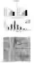 Fig. 30 - COLLAGEN-BASED MATRICES FOR VESSEL DENSITY AND SIZE REGULATION