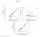 Fig. 33 - COLLAGEN-BASED MATRICES FOR VESSEL DENSITY AND SIZE REGULATION