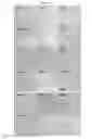 Fig. 41 - COLLAGEN-BASED MATRICES FOR VESSEL DENSITY AND SIZE REGULATION