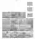 Fig. 47 - COLLAGEN-BASED MATRICES FOR VESSEL DENSITY AND SIZE REGULATION