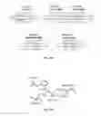 Fig. 46 - Method of detection using antibodies that specifically bind hedgehog-derived polypeptides