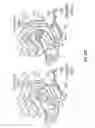 Fig. 53 - Method of detection using antibodies that specifically bind hedgehog-derived polypeptides