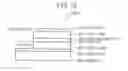 Fig. 76 - Solid element device and method for manufacturing the same