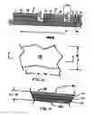 Fig. 05 - Collector grid and interconnect structures for photovoltaic arrays and modules