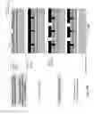 Fig. 25 - Patterning of silicon oxide layers using pulsed laser ablation