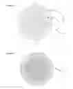 Fig. 10 - Method and apparatus for forming a thin lamina