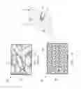 Fig. 02 - Organic semiconductor compositions with nanoparticles