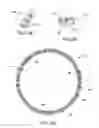 Fig. 14 - Clamped showerhead electrode assembly