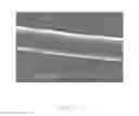 Fig. 03 - Method for forming tip for carbon nanotube and method for forming field emission structure having the same