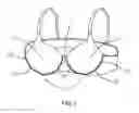 Fig. 02 - Comfortable Arc-shaped Underwire