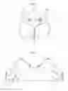 Fig. 02 - Bra Having Therapeutically Positioned Pockets as well as Hot and or Cold Inserts