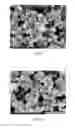 Fig. 06 - Polishing slurry including zirconia particles and a method of using the polishing slurry