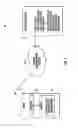 Fig. 02 - Communications system providing mobile device notification based upon personal interest information and calendar events