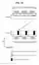 Fig. 11 - Wireless communication system, base station apparatus, mobile station apparatus, and random access method