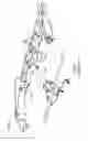 Fig. 02 - Support assembly for moveable members of an agricultural combine and devices thereof