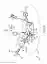 Fig. 03 - Round ride with lateral flight
