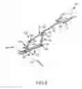 Fig. 05 - Round ride with lateral flight