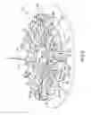 Fig. 07 - Round ride with contoured and rotating track