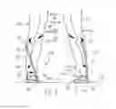 Fig. 02 - GOLF STANCE TRAINING DEVICE