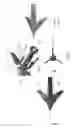 Fig. 04 - Archery broadhead