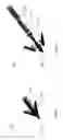 Fig. 05 - Archery broadhead