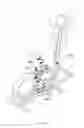 Fig. 05 - Lower-limb off-axis training apparatus and system