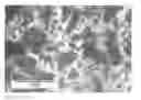 Fig. 01 - Compositions and methods for making ceramic plates