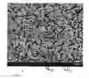 Fig. 01 - METHOD FOR PRODUCING PRESSURELESSLY SINTERED ZIRCONIUM DIBORIDE/SILICON CARBIDE COMPOSITE BODIES