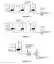 Fig. 07 - Hydroprocessing catalysts and methods for making thereof