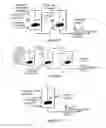 Fig. 04 - Hydroprocessing catalysts and methods for making thereof