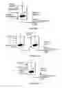 Fig. 06 - HYDROPROCESSING CATALYSTS AND METHODS FOR MAKING THEREOF