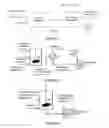 Fig. 02 - Hydroprocessing catalysts and methods for making thereof