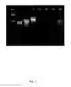 Fig. 02 - CANCER SPECIFIC TRANSCRIPT VARIANTS