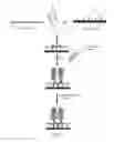 Fig. 02 - Detection of Nucleic Acids
