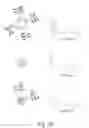 Fig. 04 - Detection of Nucleic Acids