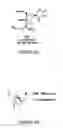 Fig. 10 - Detection of Nucleic Acids