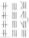 Fig. 14 - Detection of Nucleic Acids