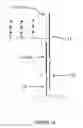 Fig. 15 - Detection of Nucleic Acids