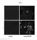 Fig. 05 - Compositions and methods for identifying enzyme and transport protein inhibitors